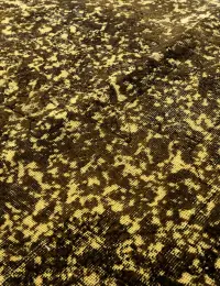 Giallo Persiano Tappeto vintage persiano 300 x 200 cm - view 4