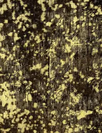 Giallo Persiano Tappeto vintage persiano 300 x 200 cm - view 3