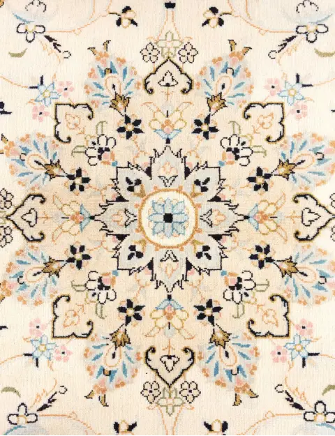 Beige Persia Persian Rug 287 x 192 cm - view 4