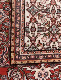 Beige Persa Alfombra Persa 300 x 205 cm - view 3