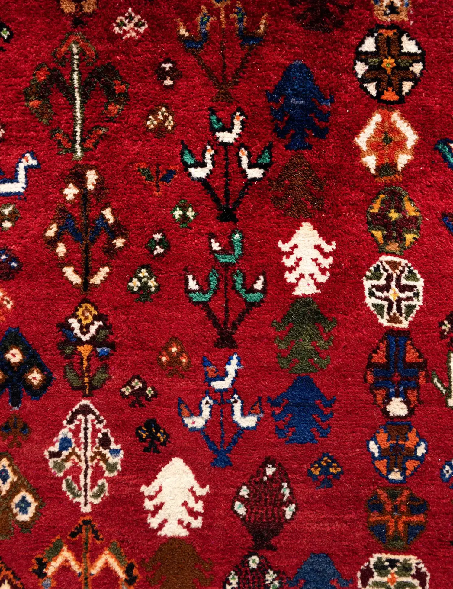 Punainen Persia Shiraz Qashqai 266 x 168 cm - Ainutlaatuinen käsintehty matto