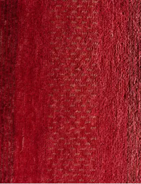 Rouge Pakistan Gabbeh 243 x 173 cm - view 3