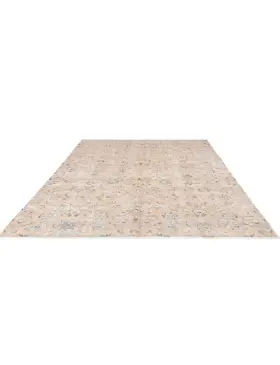 Beige Pakistan Alfombra persa vintage 258 x 173 cm - view 1
