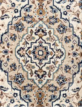 Beige Persia Ardakan Patina 300 x 196 cm - view 4