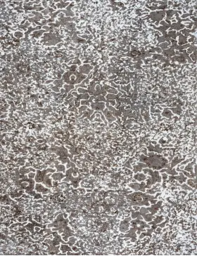 Grau Persien Persischer Vintage Teppich 228 x 228 cm - view 3