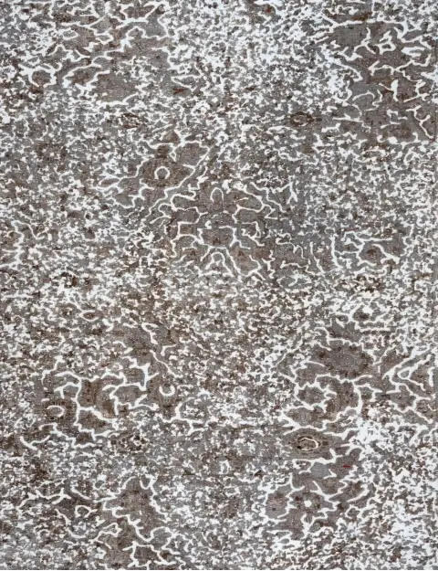 Grijs Perzië Perzisch Vintage Tapijt 228 x 228 cm - view 3