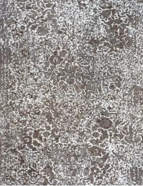 Grey Persia Persian Vintage Carpet 280 x 228 cm - view 3
