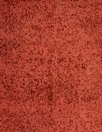 Rot Persien Persischer Vintage Teppich 290 x 290 cm - view 3