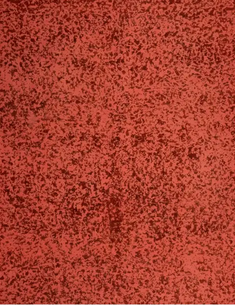 Punainen Persia Persialaiset vintage matot 290 x 290 cm - view 3