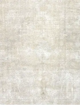 Beige Persia Alfombra persa vintage 300 x 273 cm - view 3