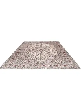 Beige Persiano Kashan Patina 388 x 299 cm - view 2