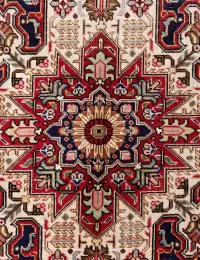 Rose Persien Tabriz Patina 395 x 295 cm - view 4