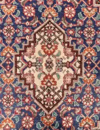 Orange Persia Hamadan Patina 250 x 147 cm - view 4