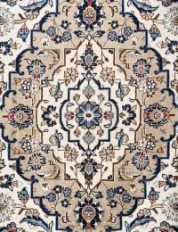 Beige persia Ardakan Patina 305 x 195 cm - view 4