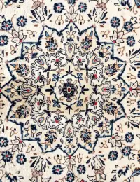 Beige persia Kashan Patina 295 x 195 cm - view 4