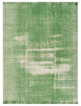 Vintage Tapis  vert <br/>296 x 200 cm
