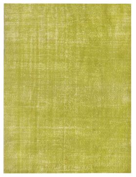 Alfombra vintage 237 X 173 verde