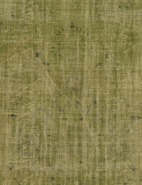 Vihreä Turkki Vintage Carpet 325 x 193 cm - view 1